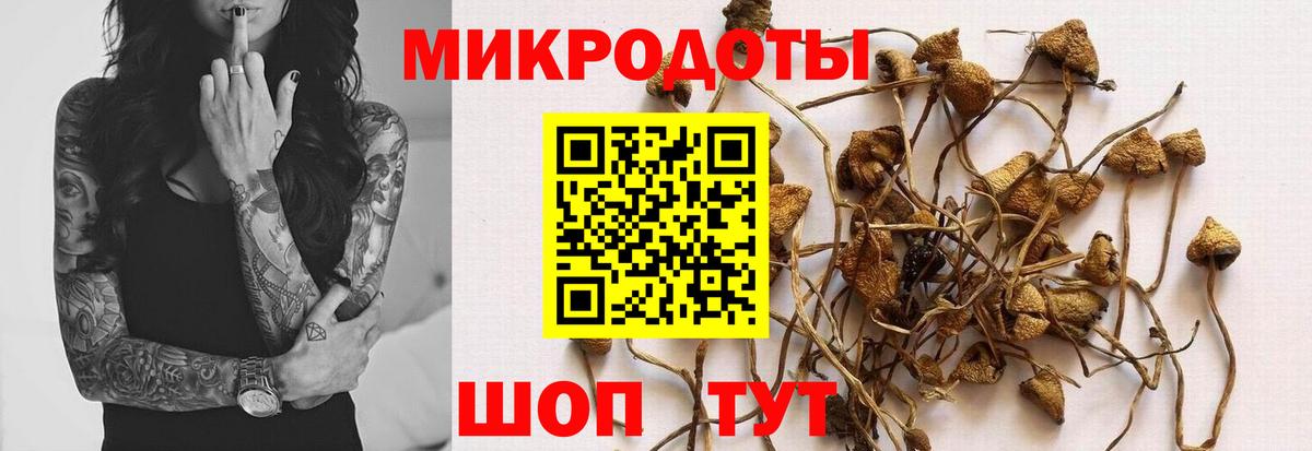 Галлюциногенные грибы мицелий  Вход с VPN  Клин  Галлюциногенные грибы MAGIC MUSHROOMS 